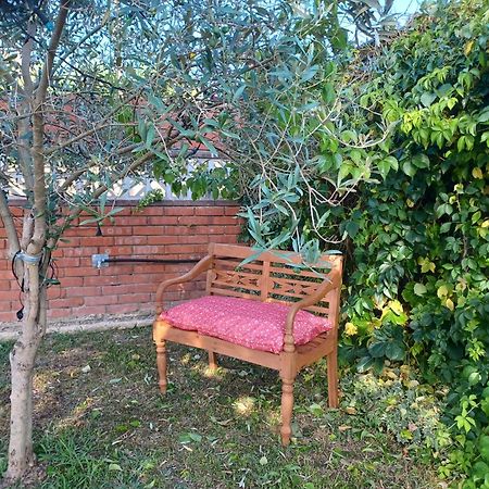 Вілла Piscina De Sal Barbacoa Wifi, Parking Gratis, 3 Min Pga Casa El Roble Жерона Екстер'єр фото