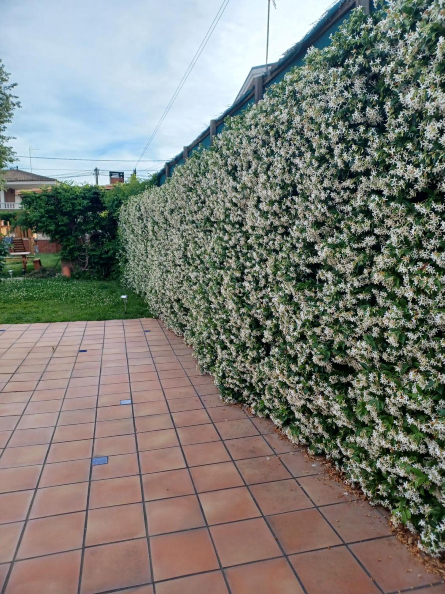 Вілла Piscina De Sal Barbacoa Wifi, Parking Gratis, 3 Min Pga Casa El Roble Жерона Екстер'єр фото